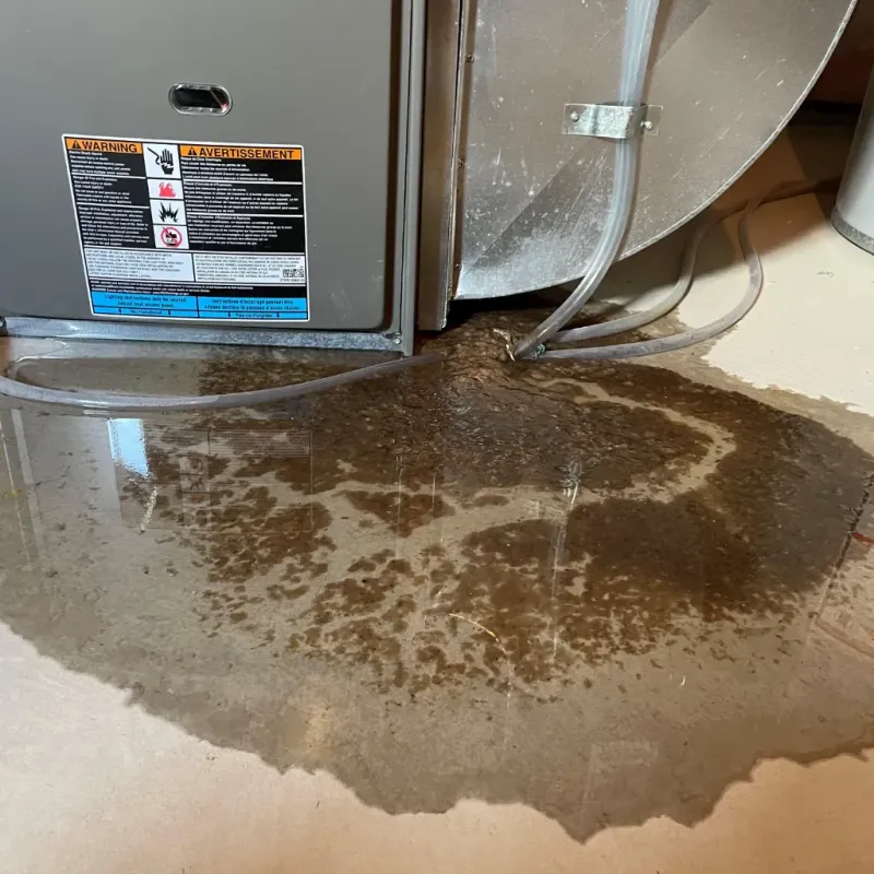 Appliance Leak Cleanup in Manhattan, KS